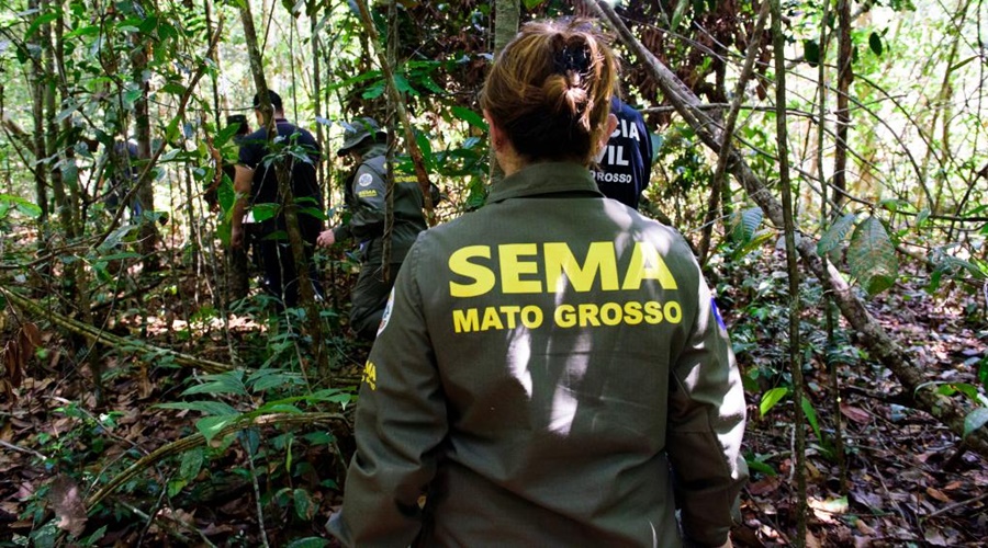 Imagem: sema Concurso da Sema-MT abre inscrições com salários de até R$ 10,4 mil Imagem: sema Concurso da Sema-MT abre inscrições com salários de até R$ 10,4 mil