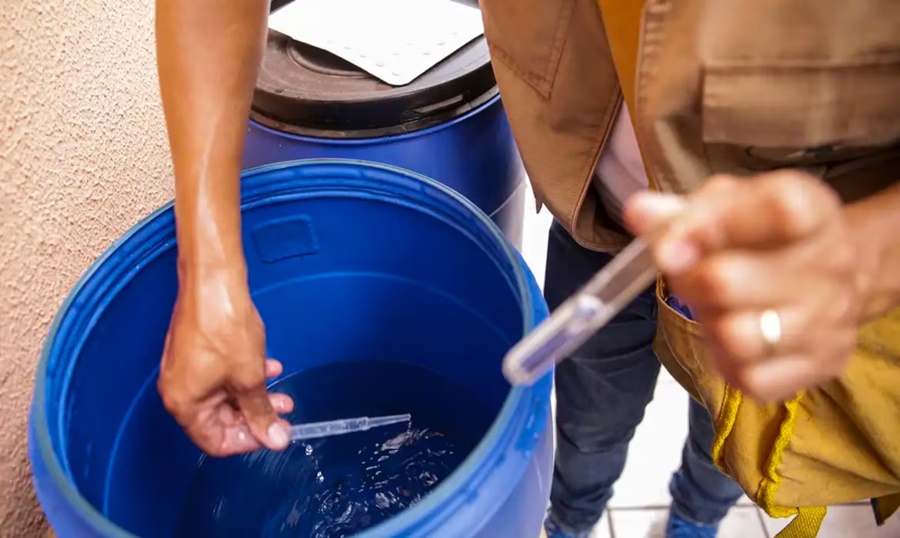 Imagem: Teste da dengue Dengue: especialista alerta para cuidados essenciais dentro de casa