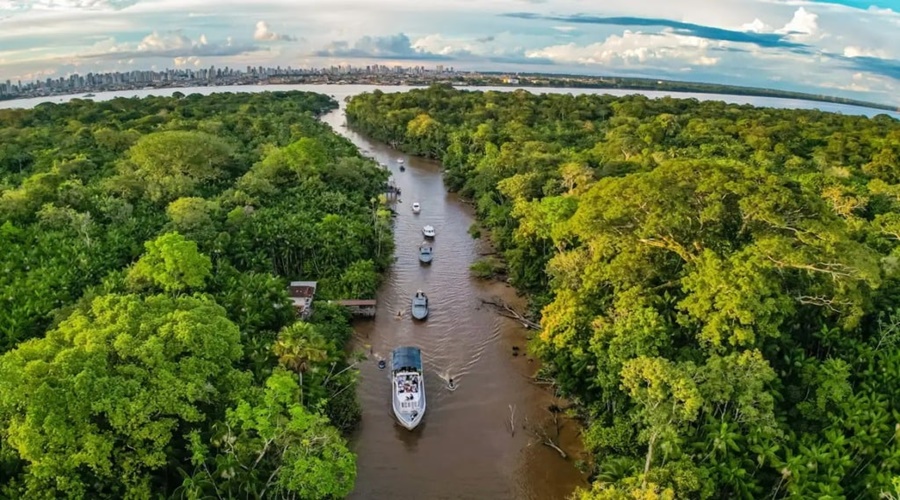 Imagem: AMAZONIA Mato Grosso receberá projeto de R$ 34,6 milhões para produção sustentável e conservação da Amazônia