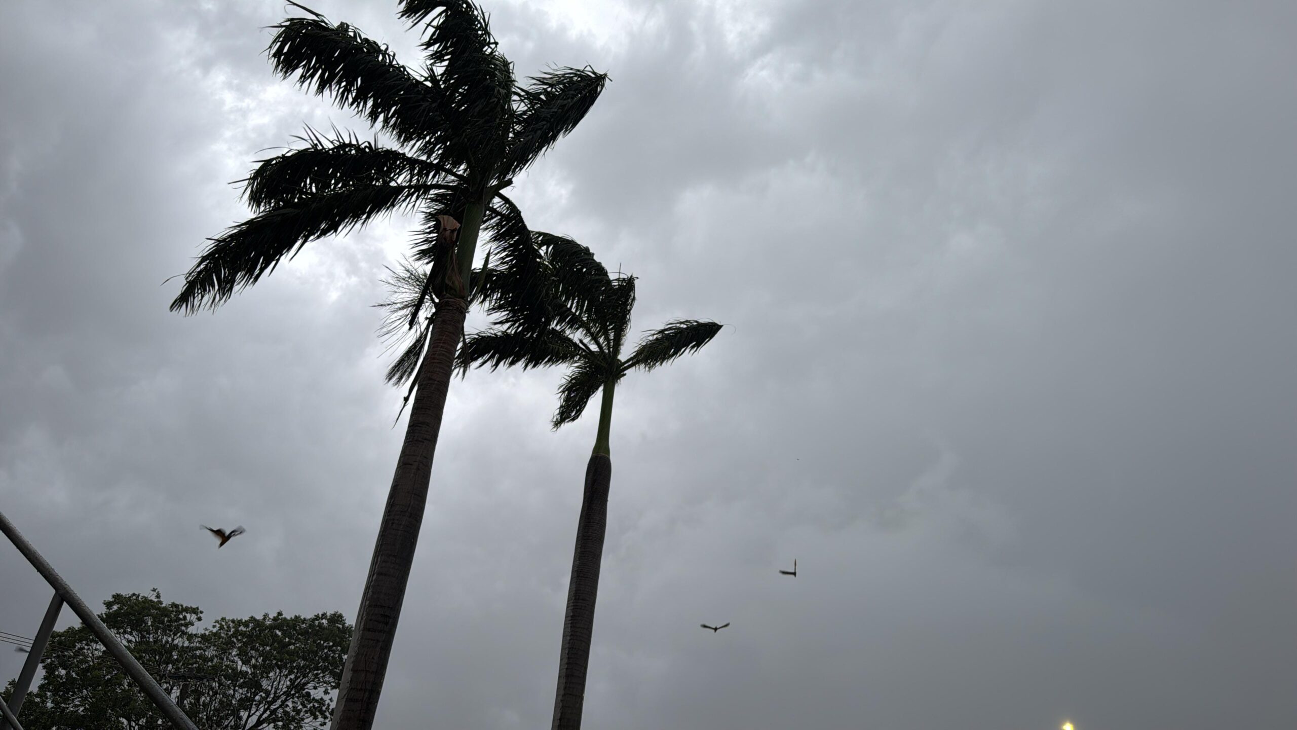 Imagem: WhatsApp Image 2025 04 08 at 17.17.10 scaled Rondonópolis deve ter um dia com pancadas fortes e rápidas nesta quarta-feira