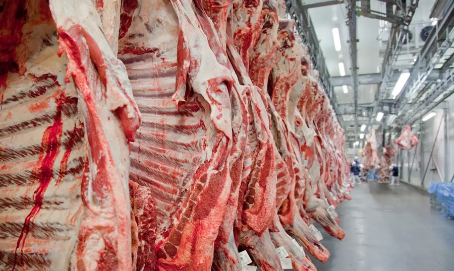 Imagem: carne Exportações de carnes de MT crescem 43% e avançam em 2025 mesmo após tarifaço dos EUA