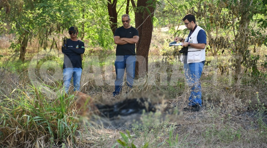 Imagem: WhatsApp Image 2025 10 31 at 16.12.55 Corpo carbonizado encontrado no bairro Residencial Parque das Laranjeiras é identificado