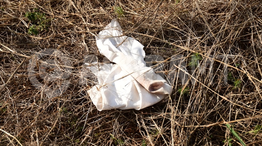 Imagem: sfb 2 Corpo carbonizado encontrado no bairro Residencial Parque das Laranjeiras é identificado