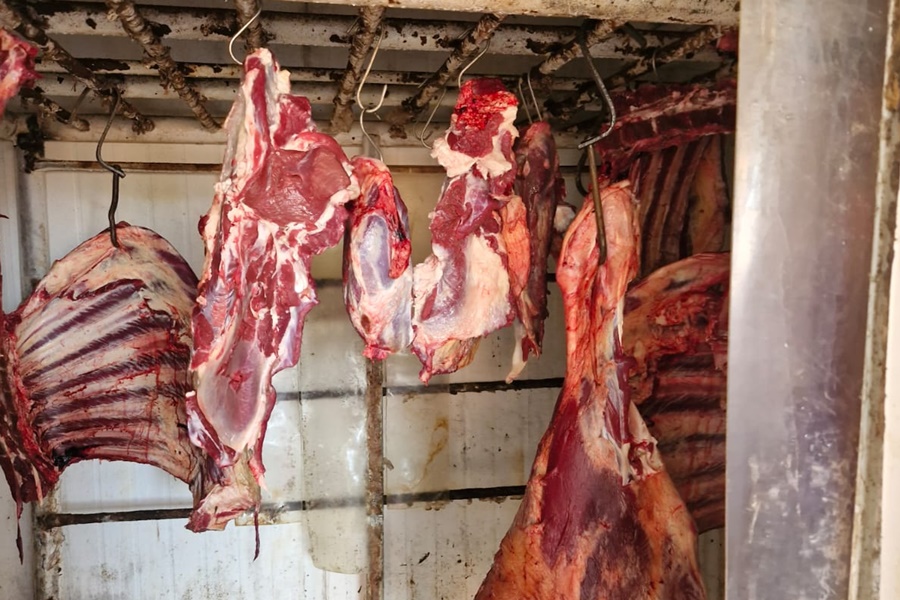 Imagem: Abatedouro Abatedouro clandestino é descoberto em Rondonópolis durante investigação de roubo de gado