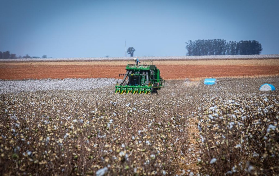 Imagem: Algodao Governo de MT prorroga diferimento do ICMS para fertilizantes e mantém benefício até dezembro de 2026 Imagem: Algodao Governo de MT prorroga diferimento do ICMS para fertilizantes e mantém benefício até dezembro de 2026