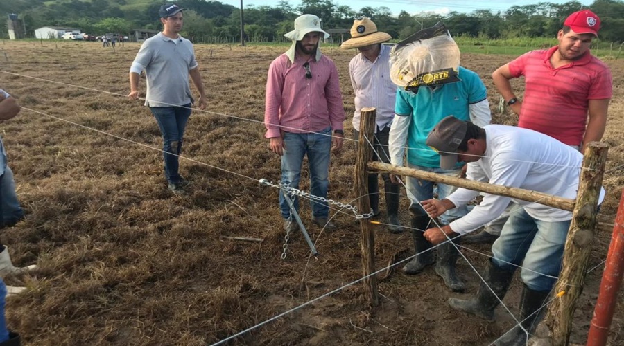 Imagem: CERCA ELETRICA Sindicato Rural de Rondonópolis e Senar MT divulgam agenda de curso gratuitos de fevereiro