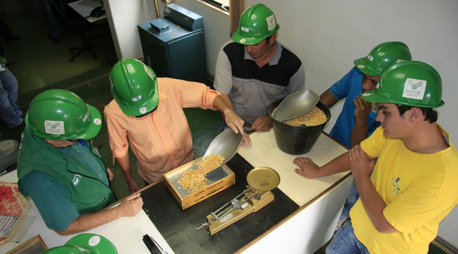 Imagem: CLASSIFICACAO DE GRAOS Sindicato Rural de Rondonópolis e Senar MT divulgam agenda de curso gratuitos de fevereiro