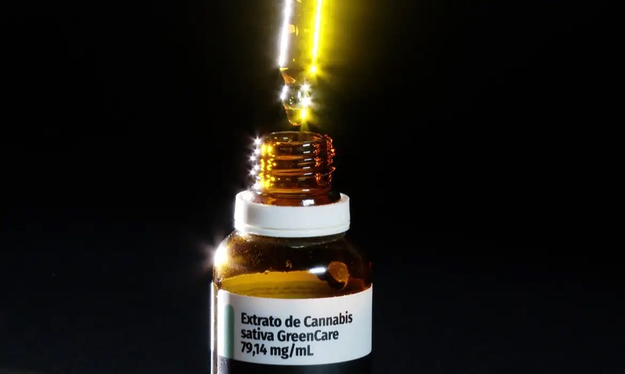 Imagem: Cannabis Anvisa aprova cultivo de cannabis por empresas e amplia acesso