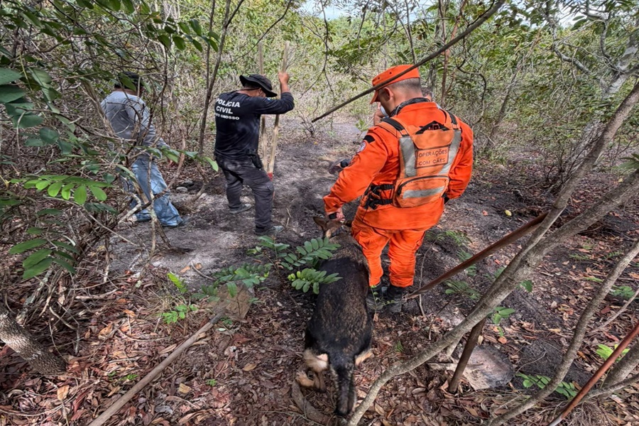 Imagem: Corpo de Bombeiro teve apoio de um cao farejador Corpo enterrado é localizado em ação conjunta da Polícia Judiciária Civil e Corpo de Bombeiros
