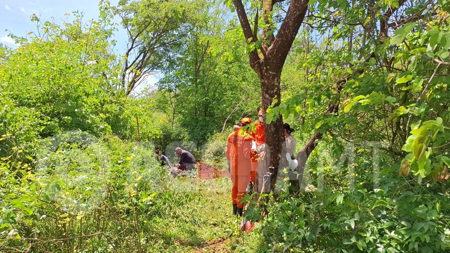 Imagem: Corpo foi encontrado em regiao de mata Corpo de homem desaparecido há mais de um mês é encontrado enterrado; suspeito é preso e confessa o crime
