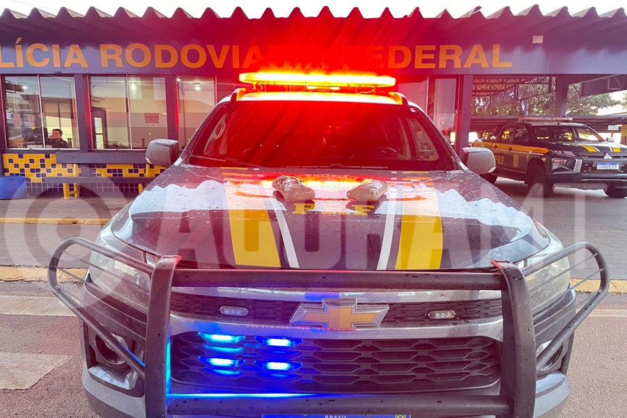 Imagem: Droga apreendida pela PRF Cão farejador auxilia PRF em apreensão de haxixe em ônibus na BR-364 em Rondonópolis