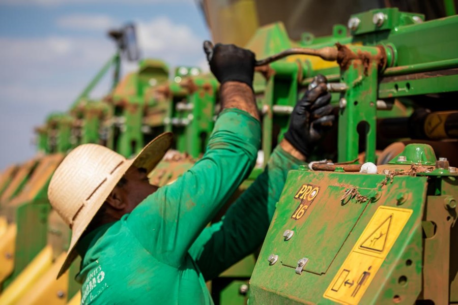 Imagem: EMPREGO FORMAL Dados do Caged mostra que Mato Grosso fechou 2025 com crescimento de 25% no emprego formal