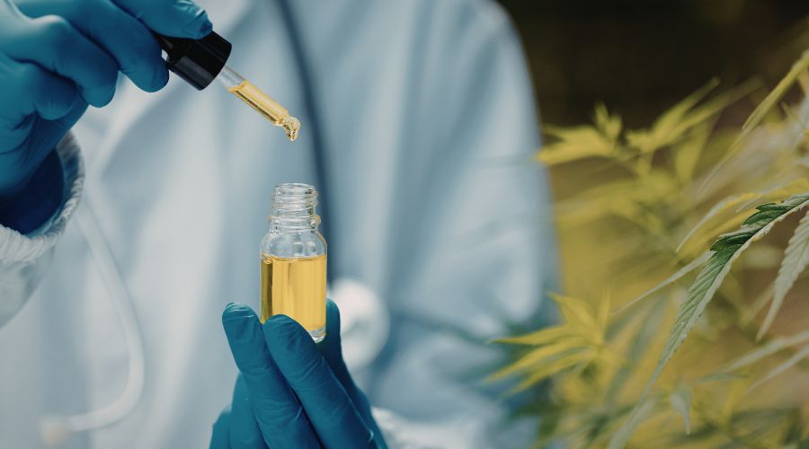 Imagem: VIDEO SITE 13 Conheça novas regras para produção e venda de canabidiol no Brasil