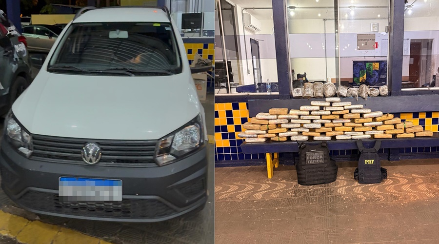 Imagem: cats horz Carga com 73 kg de skunk é apreendida após acompanhamento policial em Rondonópolis; suspeito fugiu