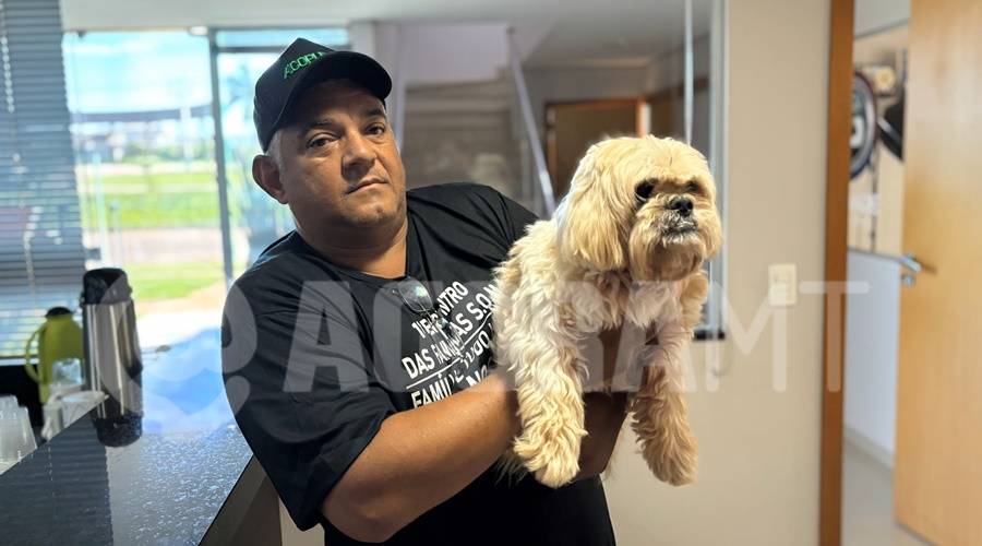 Imagem: ljdcbf Morador salva cachorro de ser atropelado na Rua José Barriga e procura pelos tutores do animal