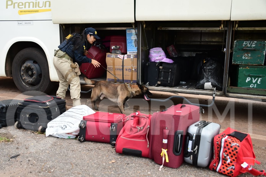 Imagem: A acao contou com o apoio do cao K9 Avó acompanhada do neto de quatro anos com necessidades especiais é presa pela PRF transportando droga