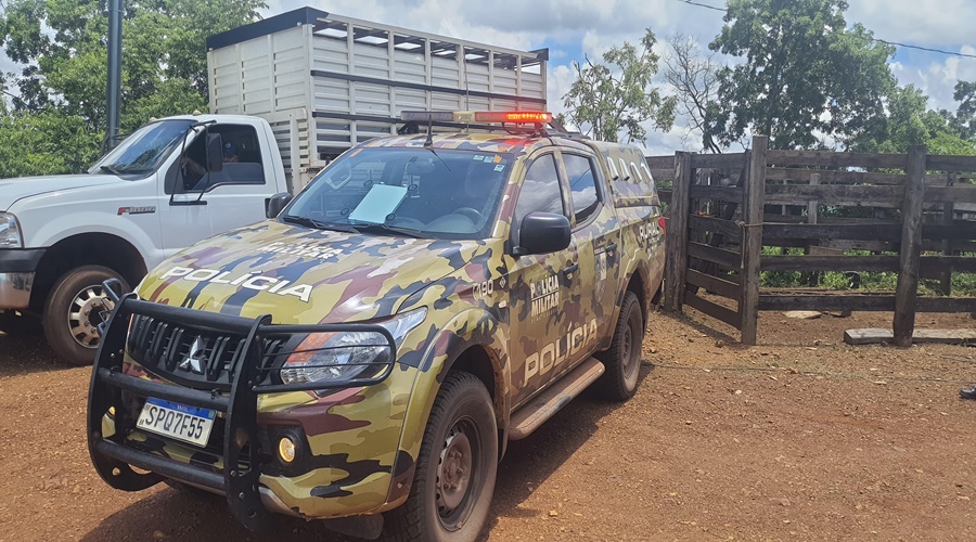 Imagem: Acao conjunta da PM de Jaciara e Campo Verde Ação conjunta da Polícia Militar recupera gado furtado na zona rural de Jaciara e prende um suspeito