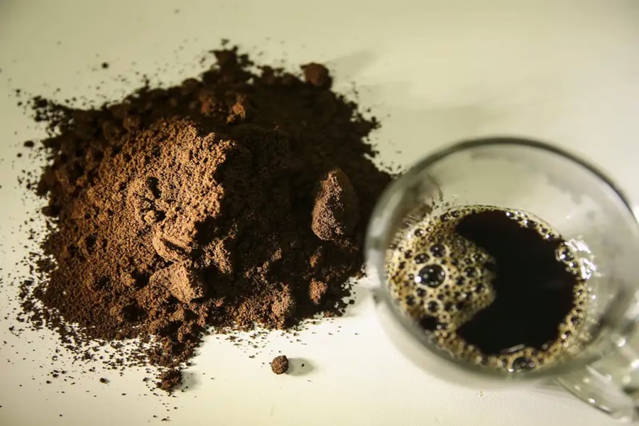 Imagem: CAFE Café pode atuar como aliado do envelhecimento saudável, diz estudo