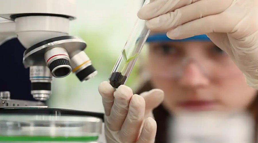 Imagem: CIENTISTA LABORATORIO Observatório Nacional lança edital do programa "Meninas Cientistas do ON" Imagem: CIENTISTA LABORATORIO Observatório Nacional lança edital do programa "Meninas Cientistas do ON"