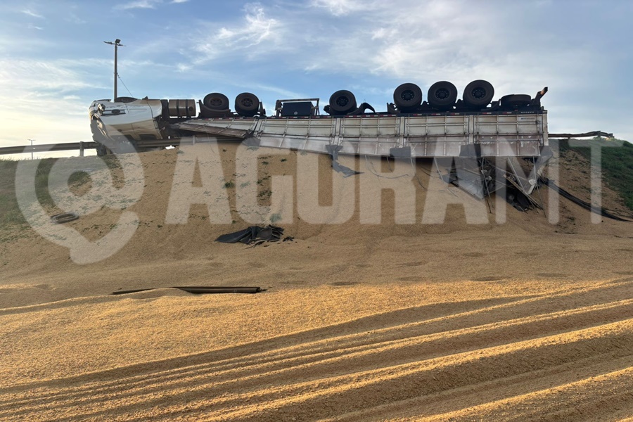 Imagem: Carreta carregada de farelo de soja tombada em Rondonopolis Carreta tomba em viaduto e motorista é detido por suspeita de embriaguez em Rondonópolis Imagem: Carreta carregada de farelo de soja tombada em Rondonopolis Carreta tomba em viaduto e motorista é detido por suspeita de embriaguez em Rondonópolis