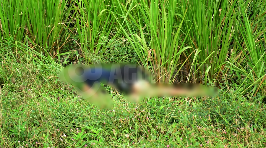 Imagem: Corpo Localizado Pedra Preta Corpo de homem encontrado às margens da BR-364 é identificado pela Polícia Civil Imagem: Corpo Localizado Pedra Preta Corpo de homem encontrado às margens da BR-364 é identificado pela Polícia Civil