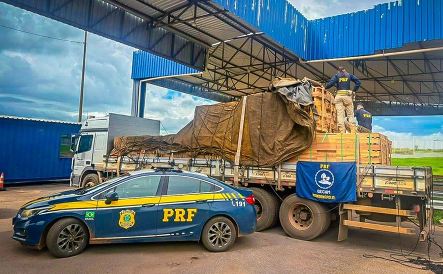 Imagem: Madeira ilegal apreendida pela PRF Operação Madeira Nativa: PRF registra 27 ocorrências de crimes ambientais em 10 dias em Rondonópolis