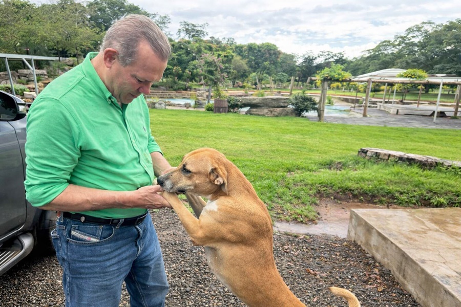 Imagem: Senador Wellington Fagundes Projeto de Wellington Fagundes vira lei e estabelece política nacional de proteção animal em desastres Imagem: Senador Wellington Fagundes Projeto de Wellington Fagundes vira lei e estabelece política nacional de proteção animal em desastres