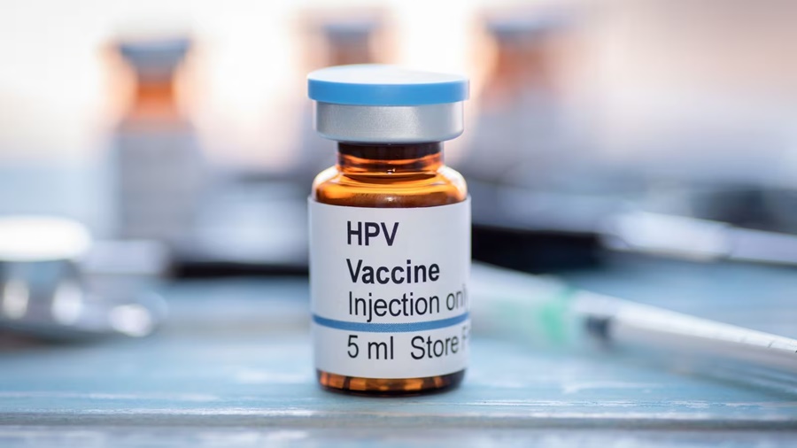 Imagem: Vacina HPV Nova vacina contra HPV reorganiza moléculas e fortalece ataque ao câncer