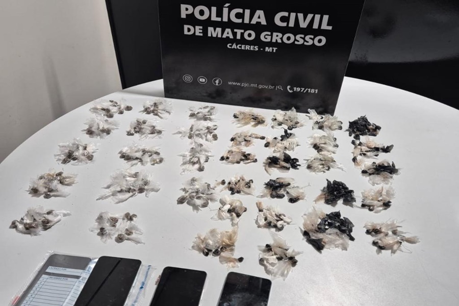 Imagem: Drogas apreendidas pela PC Polícia Civil deflagra operação para combater crimes praticados por membros de facção