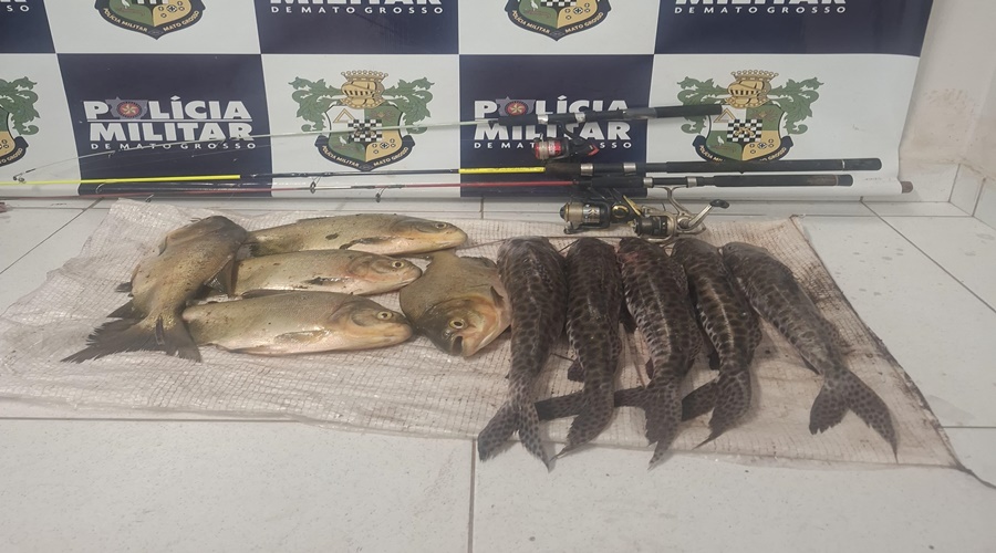 Imagem: WhatsApp Image 2026 03 03 at 07.39.10 1 Operação da Polícia Militar prende dois indivíduos por furto em propriedade rural de Jaciara