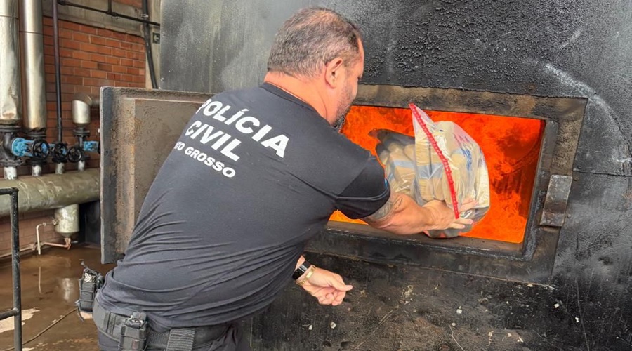 Imagem: alkdvn Polícia Civil incinera cerca de 60 kg de drogas apreendidas em Pedra Preta