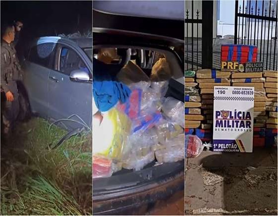 Imagem: cats 25 Operação policial apreende mais de 300 kg de entorpecentes e prende quatro suspeitos em Mato Grosso