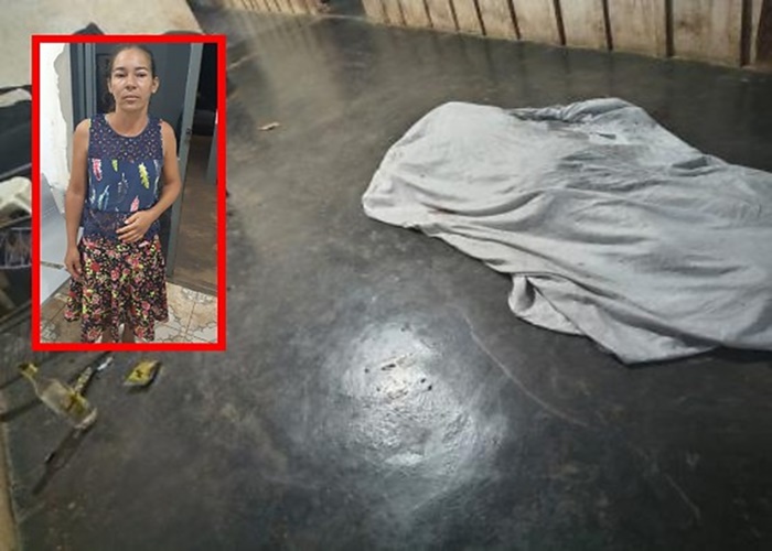 Imagem: cats 35 Filhos sequestram padastro suspeito de matar a mãe e são presos em Mato Grosso Imagem: cats 35 Filhos sequestram padastro suspeito de matar a mãe e são presos em Mato Grosso