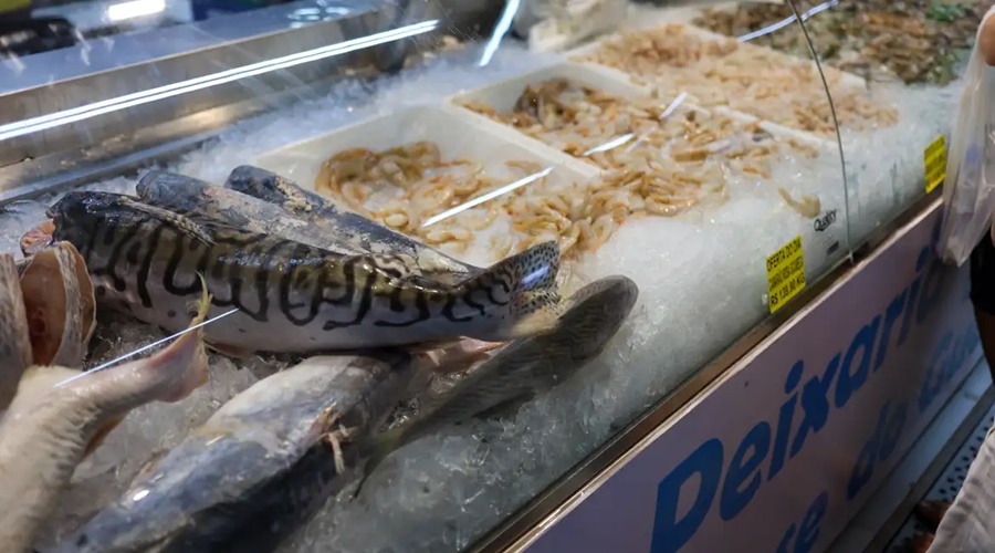 Imagem: Vigilância Sanitária orienta sobre compra de pescado na Semana Santa