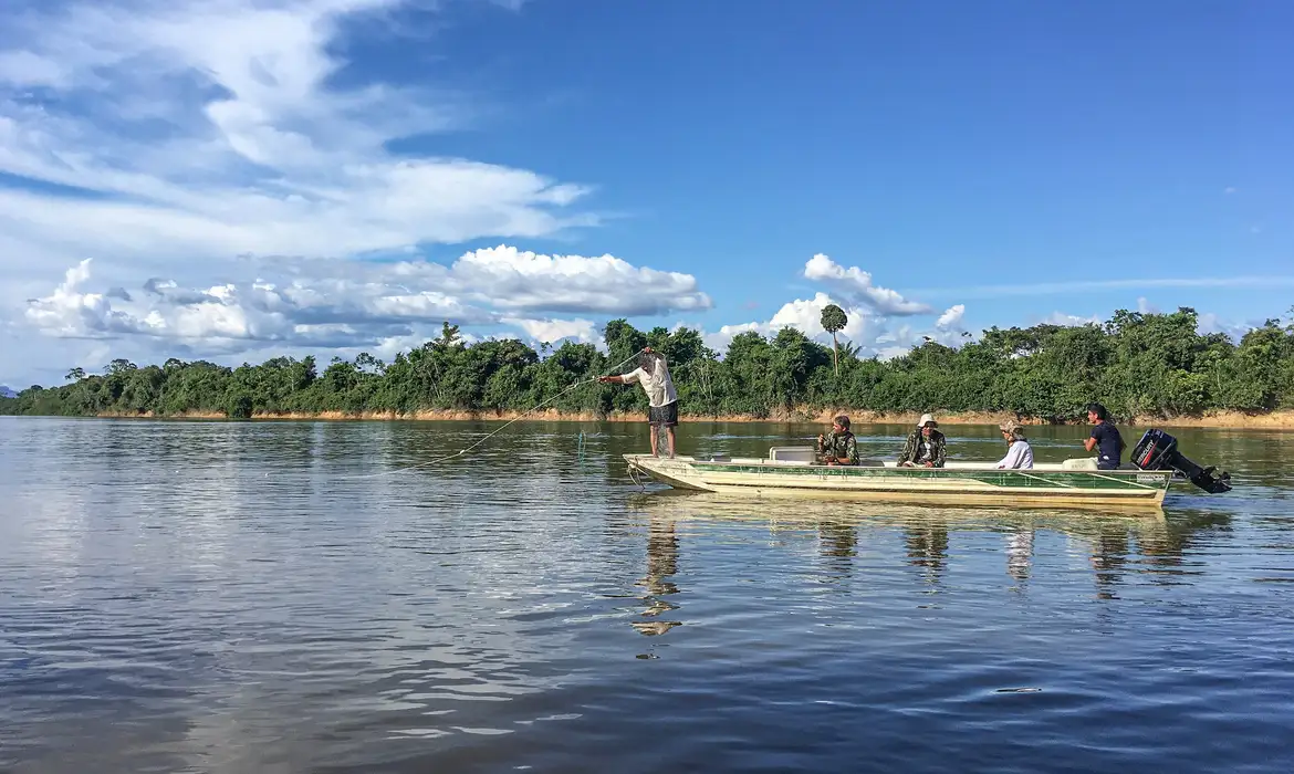 Imagem: Peixes migratórios de água doce estão entre os mais ameaçados no mundo Imagem: Peixes migratórios de água doce estão entre os mais ameaçados no mundo