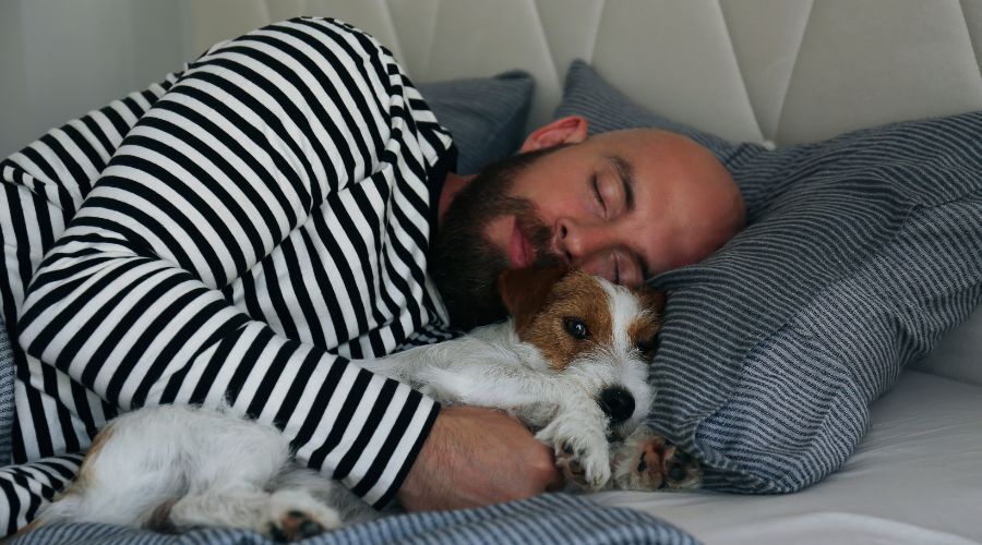 Imagem: ENQUADRAMENTO SITE 4 2 Dormir com animal de estimação pode prejudicar o sono do tutor, segundo especialistas