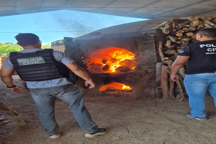 Imagem: Incineracao de drogas Polícia Judiciária Civil incinera maconha, pasta base, ecstasy e cocaína em Barra do Garças