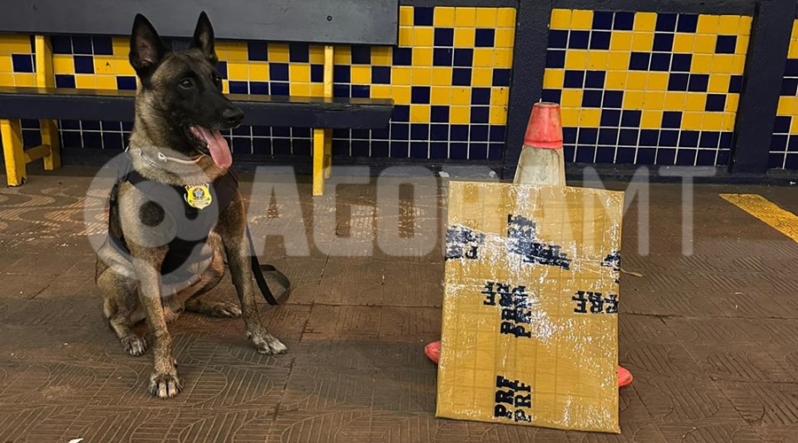 Imagem: SJBV Boliviana é presa ao transportar mais de 3 kg de droga em ônibus interestadual durante passagem por Rondonópolis