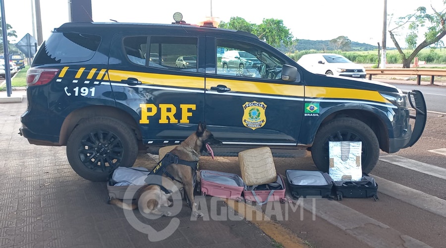 Imagem: WhatsApp Image 2026 04 08 at 16.29.12 PRF apreende drogas escondidas em ônibus interestadual e prende três mulheres durante fiscalização em Rondonópolis