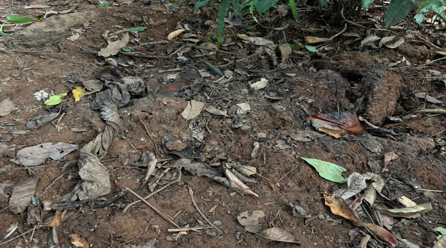 Imagem: WhatsApp Image 2026 04 17 at 12.38.56 Possível corpo é encontrado em cova rasa em Rondonópolis; material passará por perícia