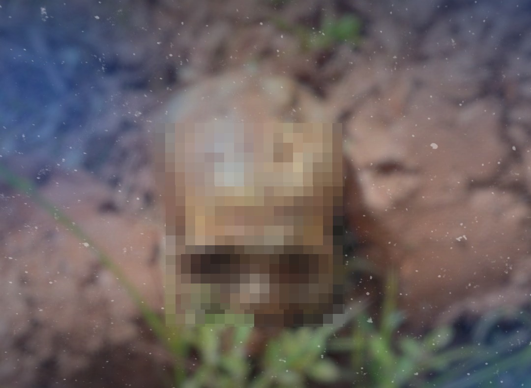 Imagem: WhatsApp Image 2026 04 17 at 16.42.45 1 Funcionário de prefeitura encontra ossada humana em terreno de creche municipal