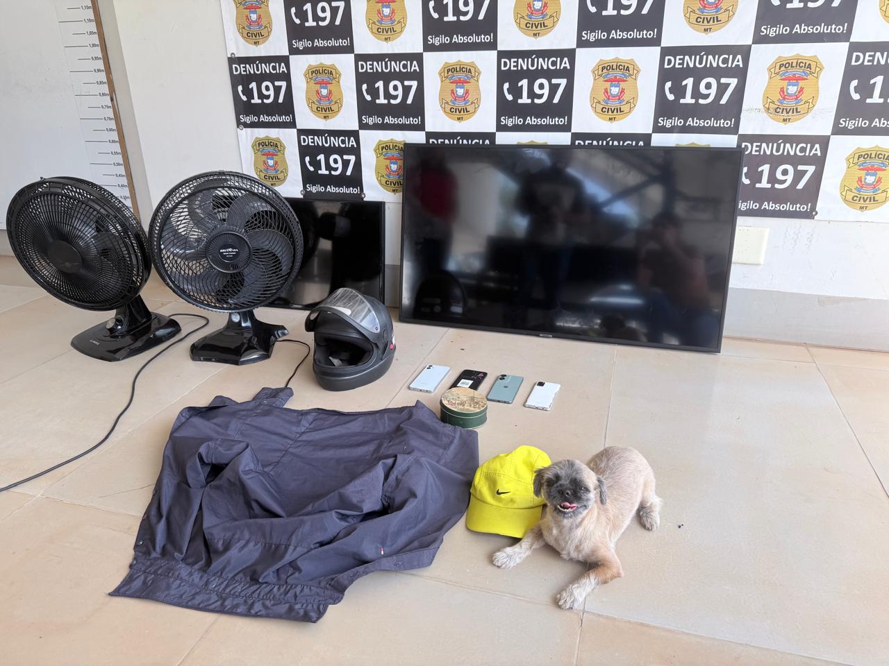 Imagem: WhatsApp Image 2026 04 22 at 17.02.12 Ladrão é preso após arrombar portão de residência, furtar carro, TVs e até o cachorro da vítima
