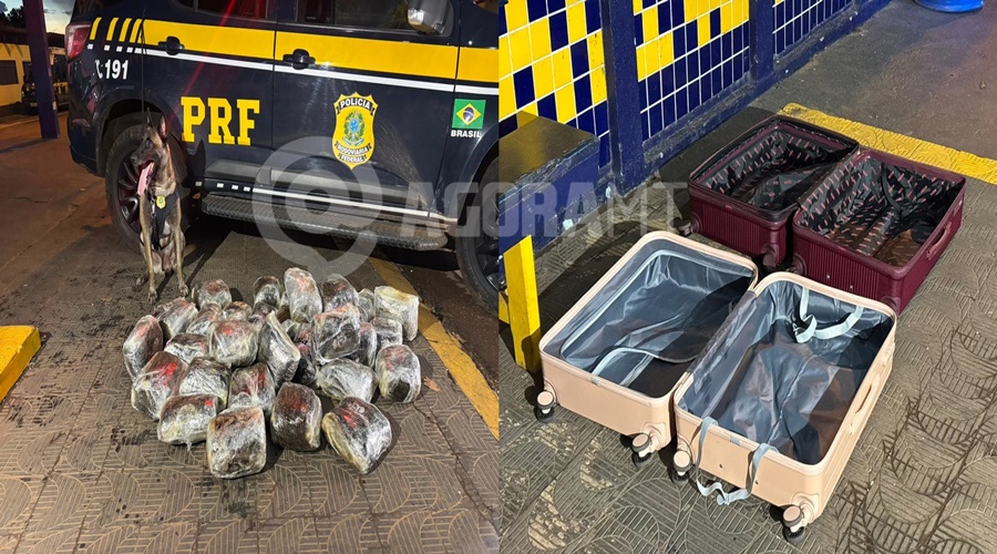 Imagem: WhatsApp Image 2026 04 29 at 17.48 horz Durante fiscalização, PRF prende homem de 22 anos com 38 pacotes de skunk escondidos em mala