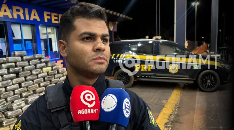 Imagem: ENQUADRAMENTO SITE 25 PRF apreende mais de meia tonelada de skunk escondida em fundo falso de caminhão na BR-364 Imagem: ENQUADRAMENTO SITE 25 PRF apreende mais de meia tonelada de skunk escondida em fundo falso de caminhão na BR-364