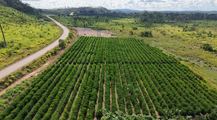 Imagem: KDAMVD Governo publica edital de R$ 76,7 milhões para fortalecer pequenos produtores em MT