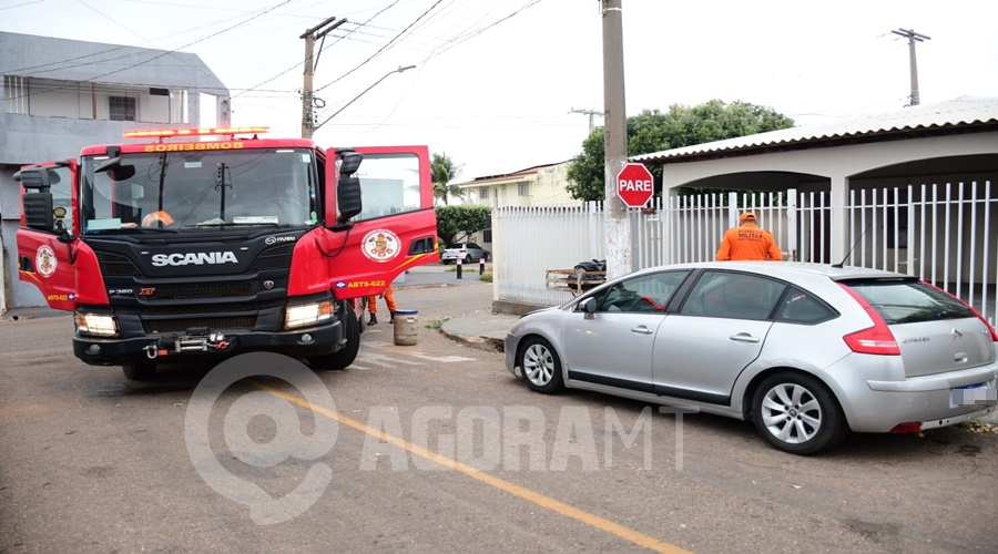 Imagem: WhatsApp Image 2026 05 18 at 16.11.27 Dois cães de grande porte escapam de residência e causam pânico no Conjunto São José Imagem: WhatsApp Image 2026 05 18 at 16.11.27 Dois cães de grande porte escapam de residência e causam pânico no Conjunto São José