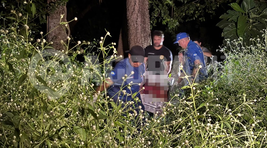 Imagem: akdnvcjfv n Roubo em propriedade rural termina com trabalhador morto e suspeito ferido por motosserra em Juscimeira Imagem: akdnvcjfv n Roubo em propriedade rural termina com trabalhador morto e suspeito ferido por motosserra em Juscimeira