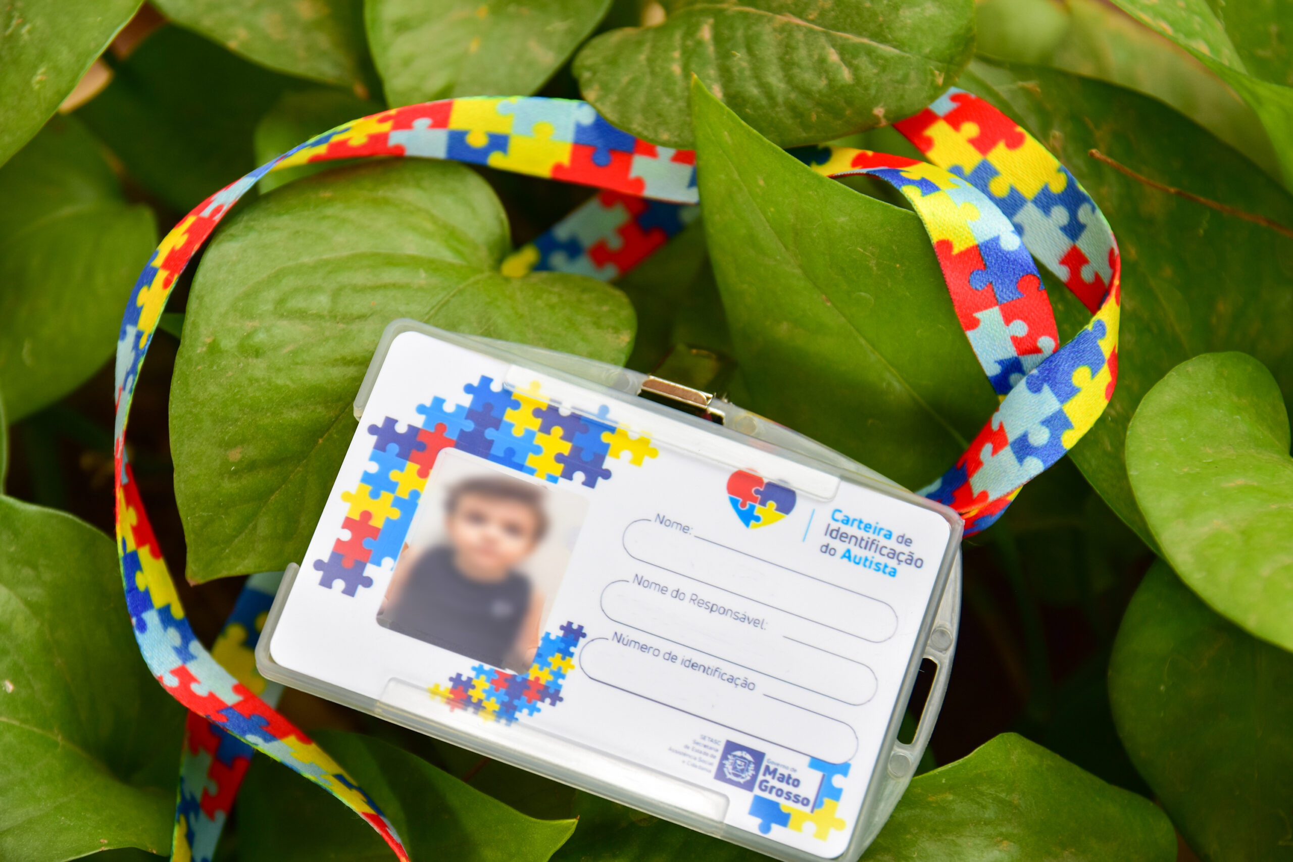 Imagem: fbac05fa 5fb3 4549 87ec 53fd34f14217 scaled Carteiras de Identificação do Autista solicitadas no MT cidadão estão disponíveis na Sempras Imagem: fbac05fa 5fb3 4549 87ec 53fd34f14217 scaled Carteiras de Identificação do Autista solicitadas no MT cidadão estão disponíveis na Sempras