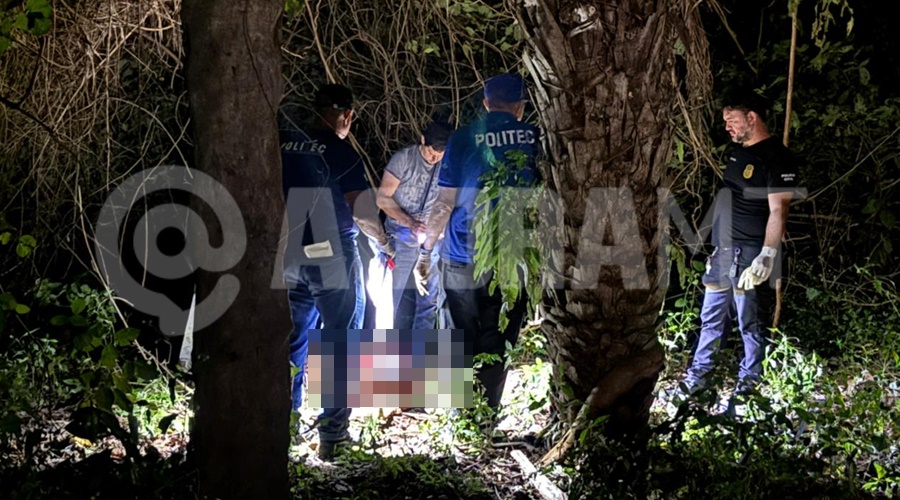 Imagem: k vnfknv Roubo em propriedade rural termina com trabalhador morto e suspeito ferido por motosserra em Juscimeira Imagem: k vnfknv Roubo em propriedade rural termina com trabalhador morto e suspeito ferido por motosserra em Juscimeira