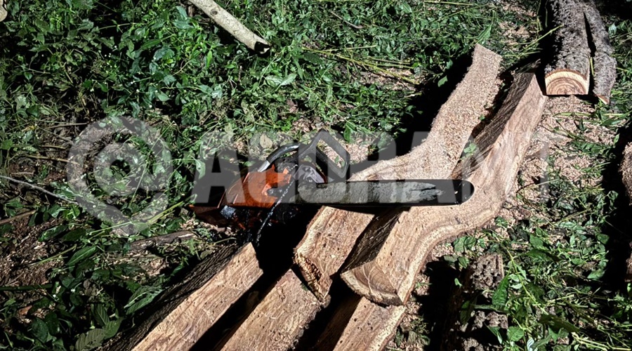 Imagem: kamvpfmv Roubo em propriedade rural termina com trabalhador morto e suspeito ferido por motosserra em Juscimeira Imagem: kamvpfmv Roubo em propriedade rural termina com trabalhador morto e suspeito ferido por motosserra em Juscimeira